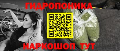 шишки Заводоуковск