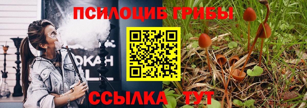 Псилоцибиновые грибы прущие грибы Михайловка