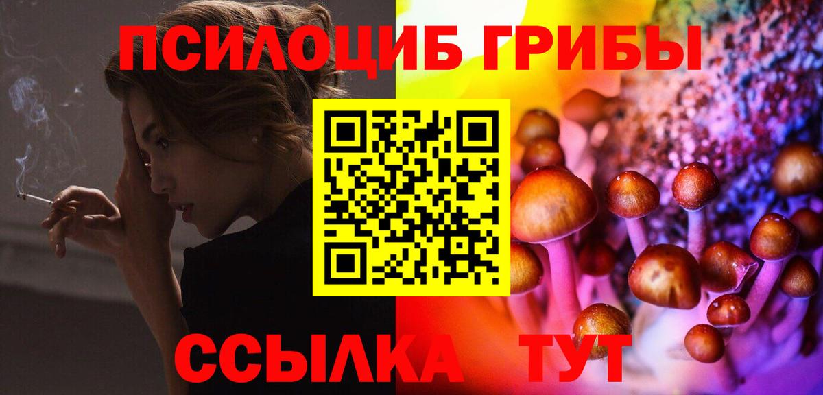 Галлюциногенные грибы MAGIC MUSHROOMS  Вход с VPN  купить закладку  Михайловка 